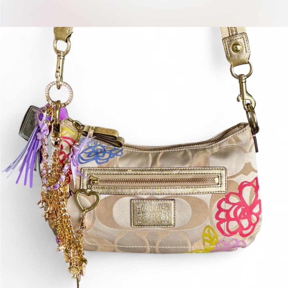 Colorful Coach Shoulder Bag